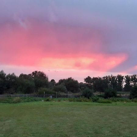 Agroturystyka Tam Gdzie Sosny Scinawka Dolna ภายนอก รูปภาพ