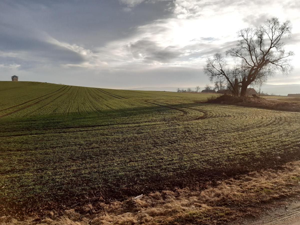 Agroturystyka Tam Gdzie Sosny Scinawka Dolna ภายนอก รูปภาพ